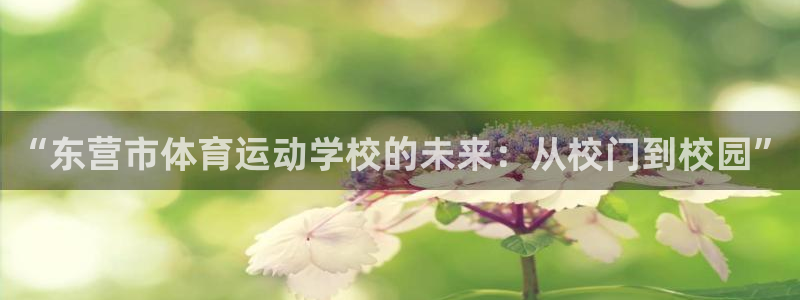 MK体育官网下载平台注册要钱吗安全吗:“东营市体育运动学校的